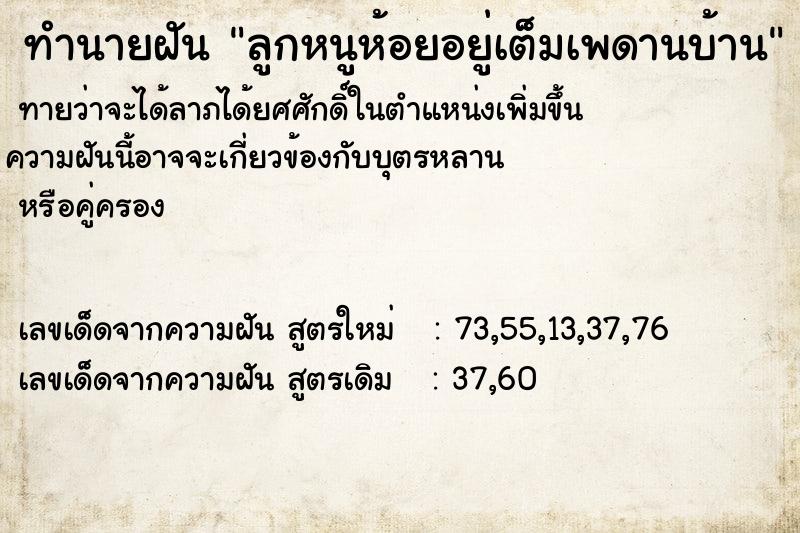 ทำนายฝันทำนายฝันลูกหนูห้อยอยู่เต็มเพดานบ้าน