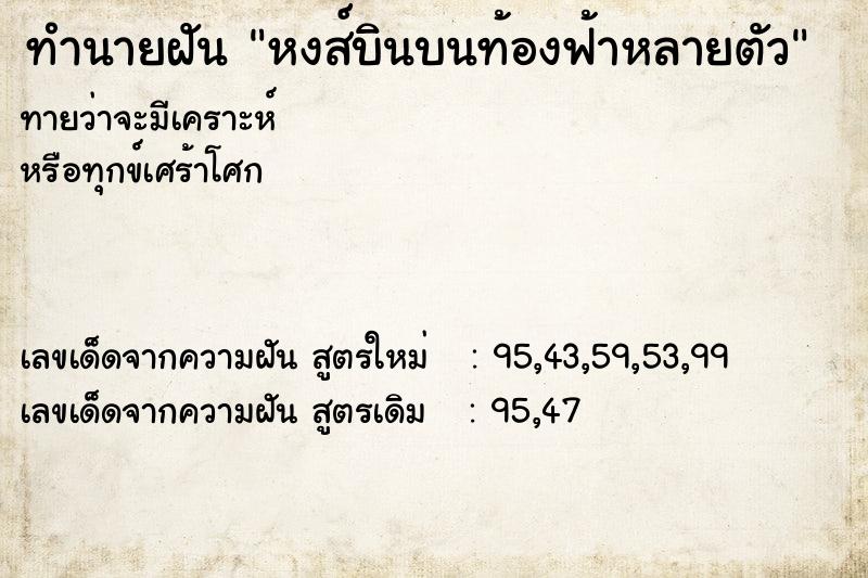 ทำนายฝันหงส์บินบนท้องฟ้าหลายตัว ทำนายฝันทำนายฝันหงส์บินบนท้องฟ้าหลายตัว