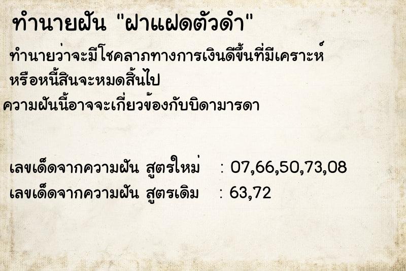ทำนายฝัน ฝาแฝดตัวดำ ทำนายฝัน ฝาแฝดตัวดำ