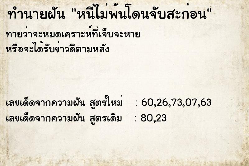 ทำนายฝัน หนีไม่พ้นโดนจับสะก่อน ทำนายฝัน หนีไม่พ้นโดนจับสะก่อน