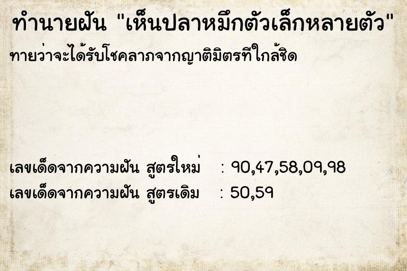 ทำนายฝันเห็นปลาหมึกตัวเล็กหลายตัว ทำนายฝันทำนายฝันเห็นปลาหมึกตัวเล็กหลายตัว