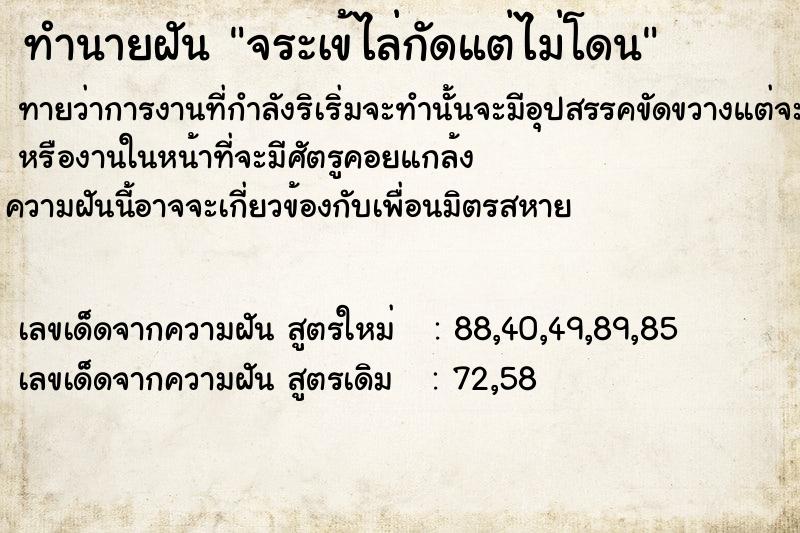 ทำนายฝันทำนายฝันจระเข้ไล่กัดแต่ไม่โดน