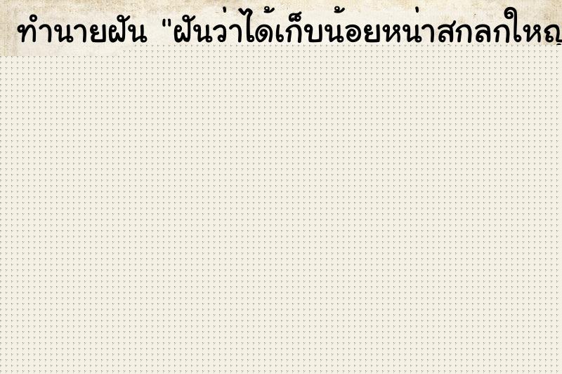 ทำนายฝันทำนายฝันฝันว่าได้เก็บน้อยหน่าสุกลูกใหญ่ๆจำนวนมากกิน