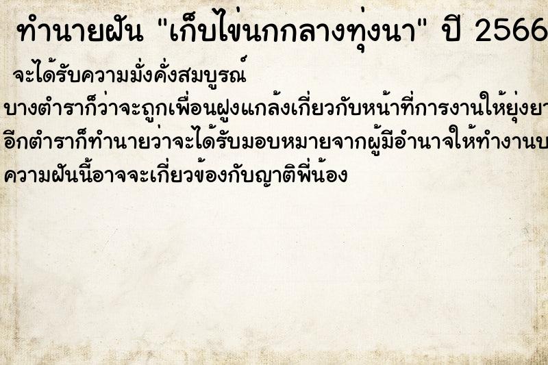 ทำนายฝันเก็บไข่นกกลางทุ่งนา ทำนายฝันทำนายฝันเก็บไข่นกกลางทุ่งนา