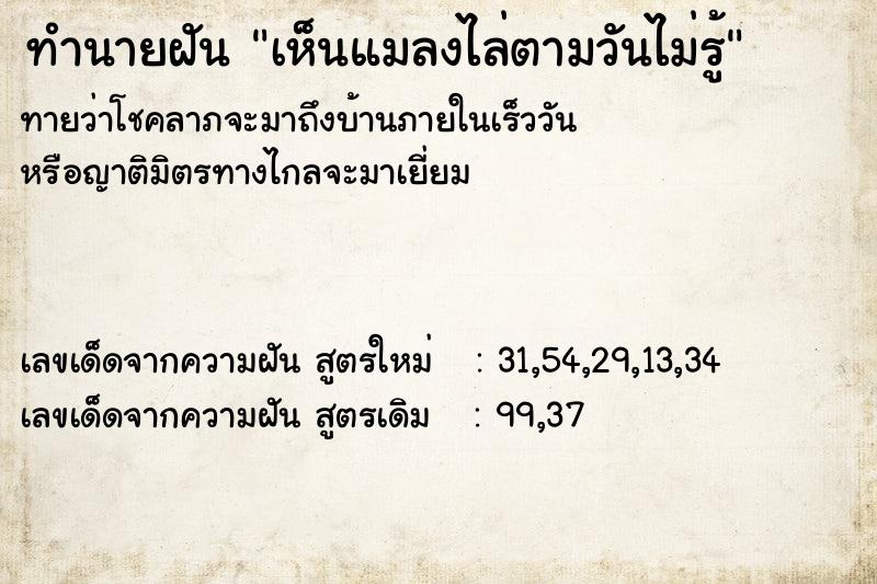 ทำนายฝันทำนายฝันเห็นแมลงไล่ตามวันไม่รู้