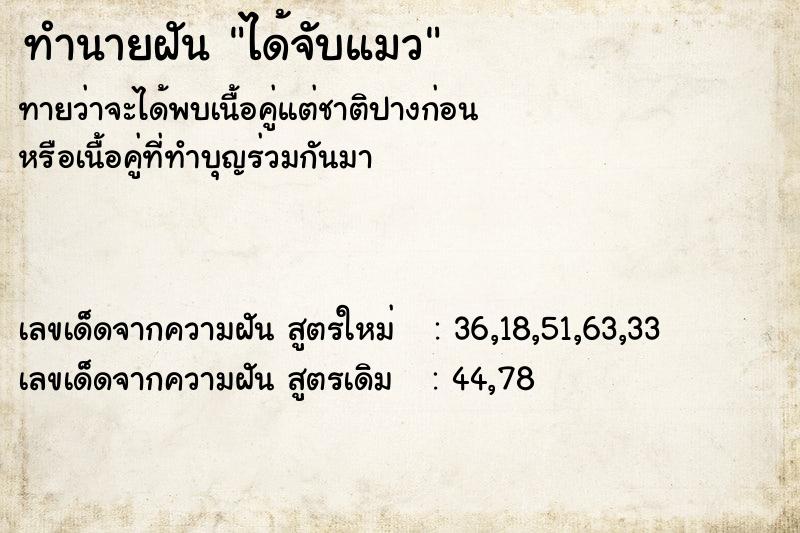 ทำนายฝันทำนายฝันได้จับแมว