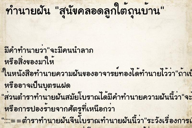 ทำนายฝัน สุนัขคลอดลูกใต้ถุนบ้าน ทำนายฝัน สุนัขคลอดลูกใต้ถุนบ้าน