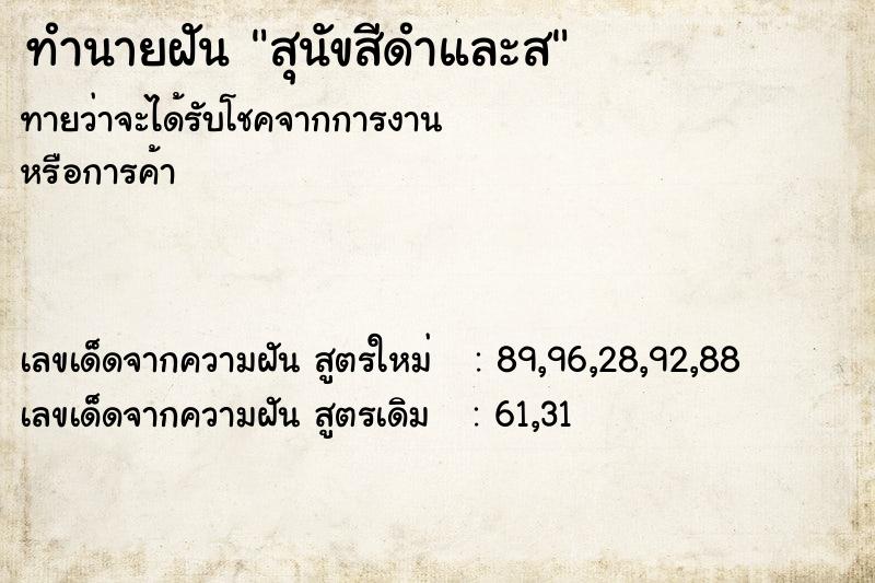 ทำนายฝันสุนัขสีดำและส ทำนายฝันทำนายฝันสุนัขสีดำและส