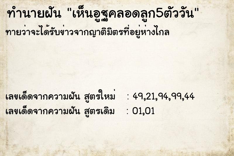 ทำนายฝันเห็นอูฐคลอดลูก5ตัววัน ทำนายฝันทำนายฝันเห็นอูฐคลอดลูก5ตัววัน