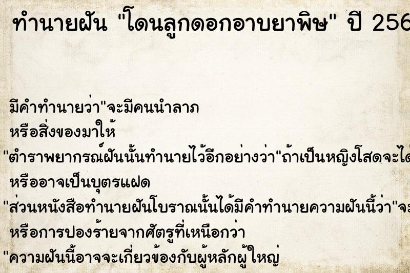 ทำนายฝันโดนลูกดอกอาบยาพิษ ทำนายฝันทำนายฝันโดนลูกดอกอาบยาพิษ