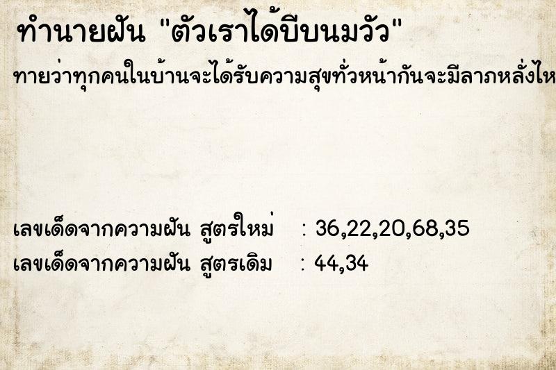 ทำนายฝันตัวเราได้บีบนมวัว ทำนายฝันทำนายฝันตัวเราได้บีบนมวัว