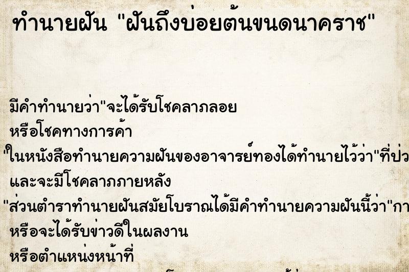 ทำนายฝันฝันถึงบ่อยต้นขนดนาคราช ทำนายฝันทำนายฝันฝันถึงบ่อยต้นขนดนาคราช