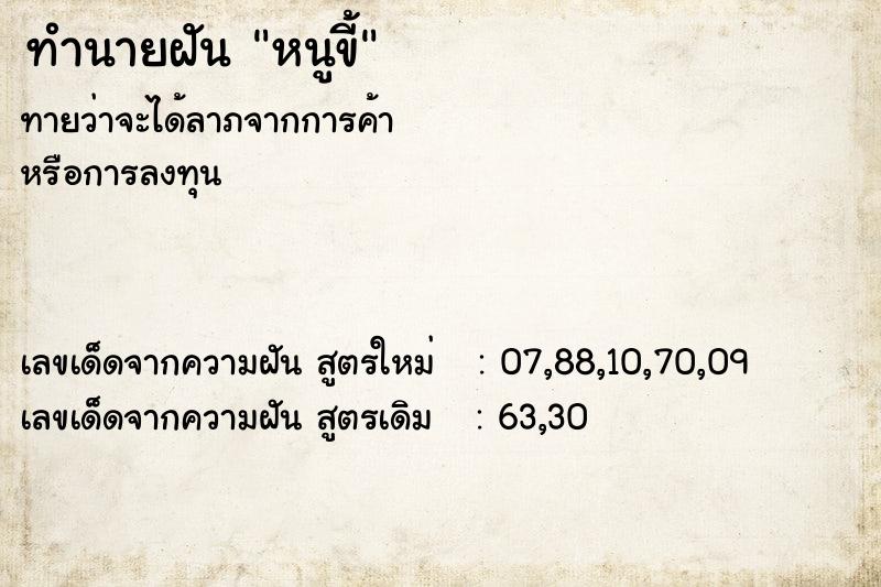 ทำนายฝันหนูขี้ ทำนายฝันทำนายฝันหนูขี้