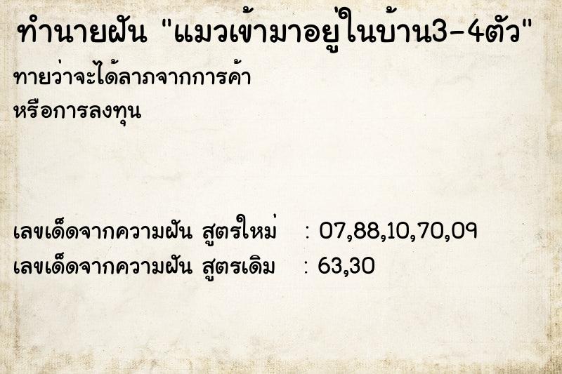 ทำนายฝันทำนายฝันแมวเข้ามาอยู่ในบ้าน3-4ตัว