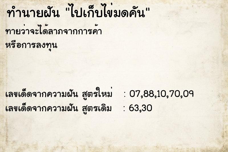 ทำนายฝันทำนายฝันไปเก็บไข่มดคัน