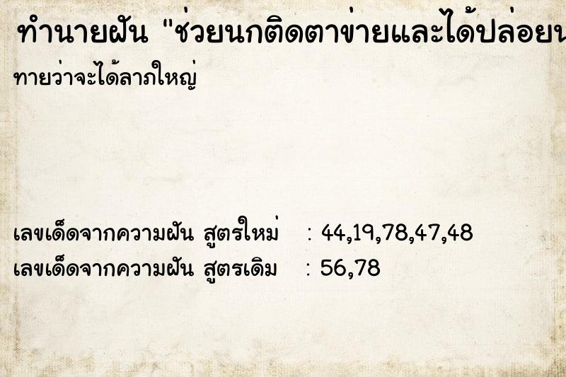 ทำนายฝันช่วยนกติดตาข่ายและได้ปล่อยนกไป ทำนายฝันทำนายฝันช่วยนกติดตาข่ายและได้ปล่อยนกไป