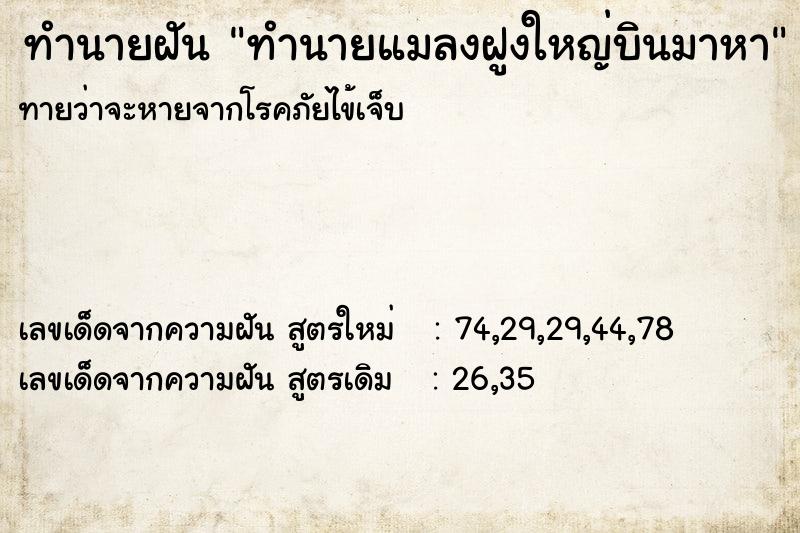 ทำนายฝันทำนายฝันทำนายแมลงฝูงใหญ่บินมาหา
