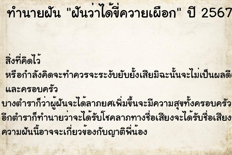 ทำนายฝันฝันว่าได้ขี่ควายเผือก ทำนายฝันทำนายฝันฝันว่าได้ขี่ควายเผือก