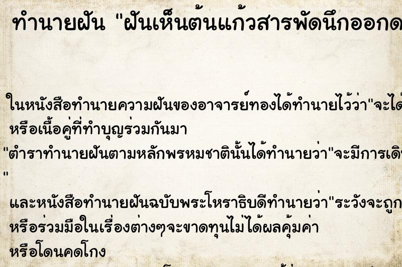 ทำนายฝันฝันเห็นต้นแก้วสารพัดนึกออกดอกที่หน้าบ้านสองดอก ทำนายฝันทำนายฝันฝันเห็นต้นแก้วสารพัดนึกออกดอกที่หน้าบ้านสองดอก