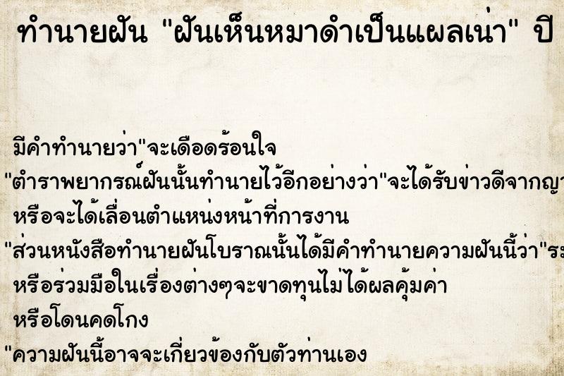 ทำนายฝัน ฝันเห็นหมาดำเป็นแผลเน่า ทำนายฝัน ฝันเห็นหมาดำเป็นแผลเน่า