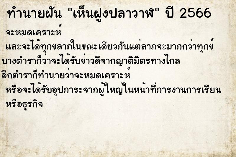 ทำนายฝันเห็นฝูงปลาวาฬ ทำนายฝันทำนายฝันเห็นฝูงปลาวาฬ