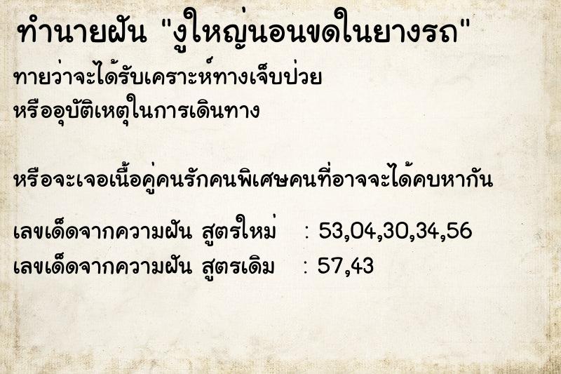 ทำนายฝันงูใหญ่นอนขดในยางรถ ทำนายฝันทำนายฝันงูใหญ่นอนขดในยางรถ