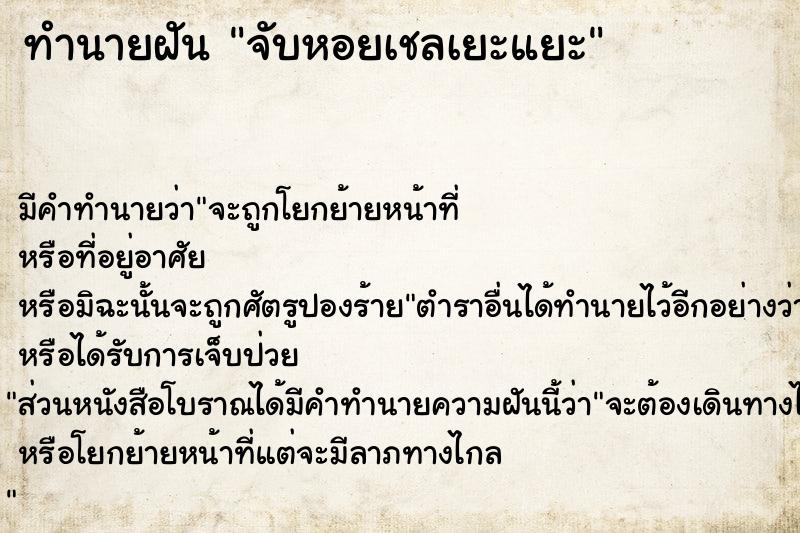 ทำนายฝันจับหอยเชลเยะแยะ ทำนายฝันทำนายฝันจับหอยเชลเยะแยะ