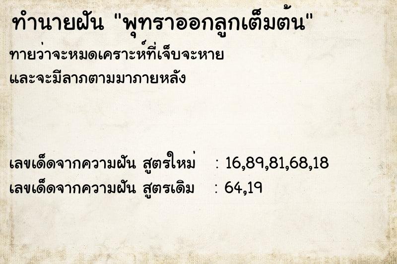 ทำนายฝันทำนายฝันพุทราออกลูกเต็มต้น
