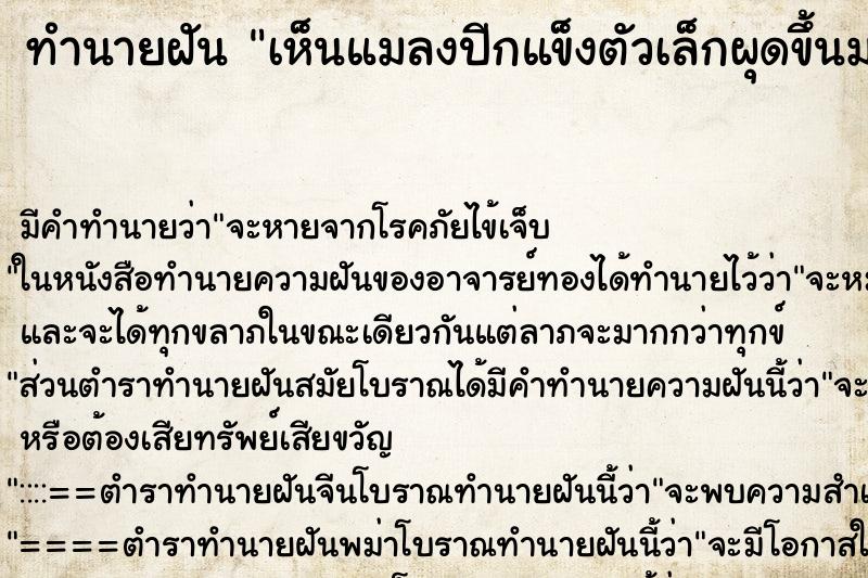 ทำนายฝันทำนายฝันเห็นแมลงปีกแข็งตัวเล็กผุดขึ้นมาจากดินเต็มไปหมด