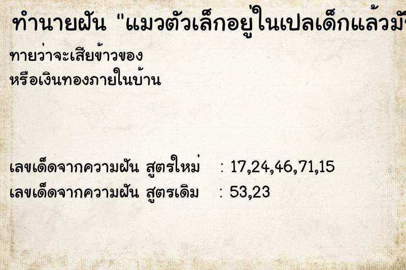 ทำนายฝันทำนายฝันแมวตัวเล็กอยู่ในเปลเด็กแล้วมัชี้อยู่ด้วย