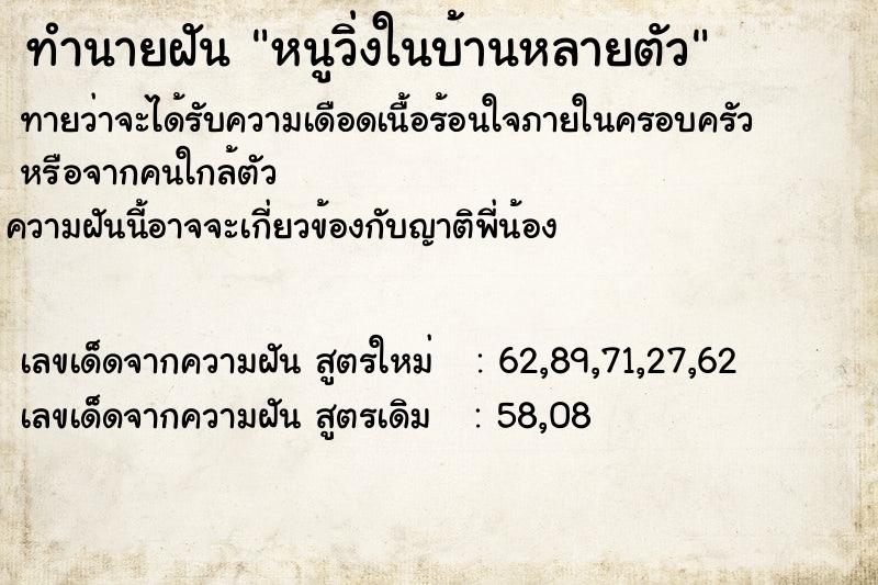 ทำนายฝันหนูวิ่งในบ้านหลายตัว ทำนายฝันทำนายฝันหนูวิ่งในบ้านหลายตัว