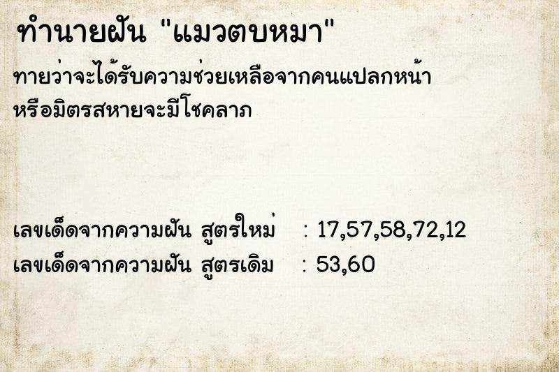 ทำนายฝัน แมวตบหมา ตำราโบราณ แม่นที่สุดในโลก