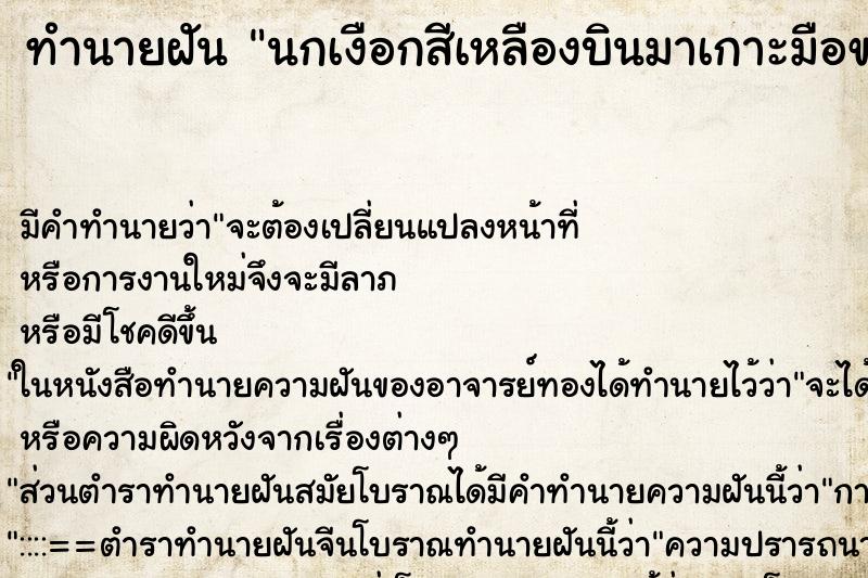 ทำนายฝันทำนายฝันนกเงือกสีเหลืองบินมาเกาะมือขวา