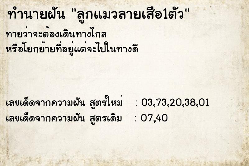 ทำนายฝันทำนายฝันลูกแมวลายเสือ1ตัว