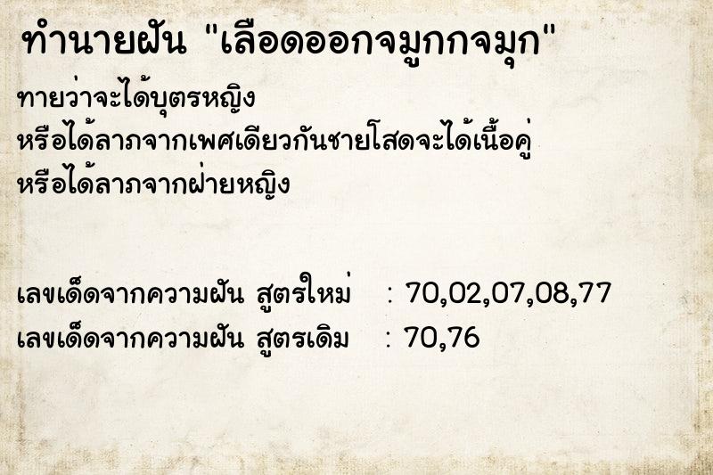 ทำนายฝัน เลือดออกจมูกกจมุก ทำนายฝัน เลือดออกจมูกกจมุก
