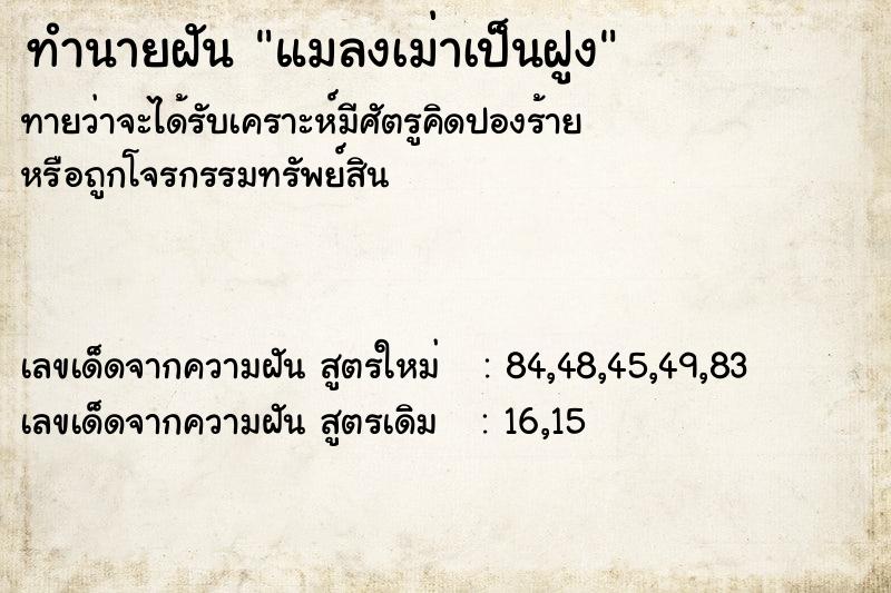 ทำนายฝัน แมลงเม่าเป็นฝูง ทำนายฝัน แมลงเม่าเป็นฝูง