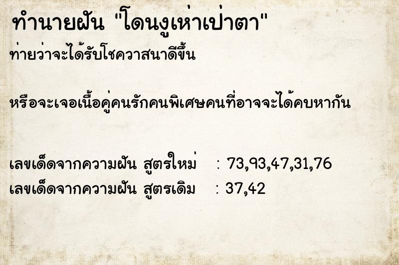 ทำนายฝันทำนายฝันโดนงูเห่าเป่าตา
