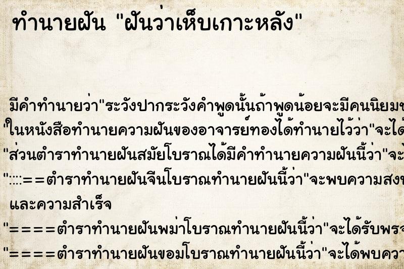 ทำนายฝัน ฝันว่าเห็บเกาะหลัง ทำนายฝัน ฝันว่าเห็บเกาะหลัง