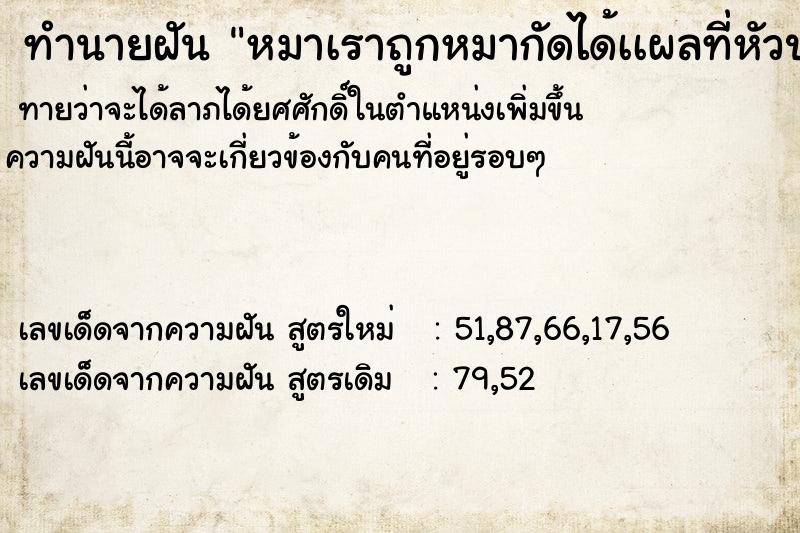 ทำนายฝันทำนายฝันหมาเราถูกหมากัดได้เเผลที่หัวปากบวมเเต่ไม่ตาย