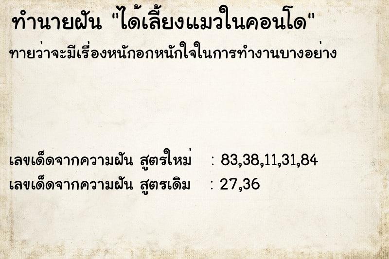 ทำนายฝันทำนายฝันได้เลี้ยงแมวในคอนโด