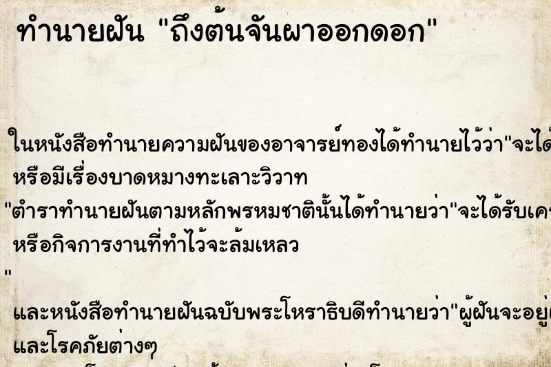 ทำนายฝันถึงต้นจันผาออกดอก ทำนายฝันทำนายฝันถึงต้นจันผาออกดอก