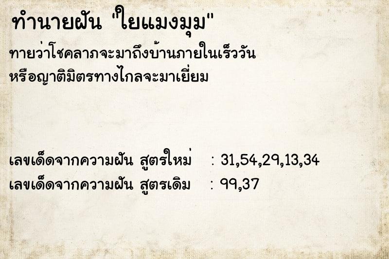 ทำนายฝัน ใยแมงมุม ตำราโบราณ แม่นที่สุดในโลก