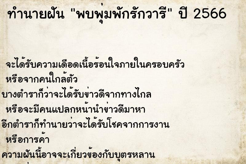 ทำนายฝัน พบพุ่มพักรักวารี ทำนายฝัน พบพุ่มพักรักวารี