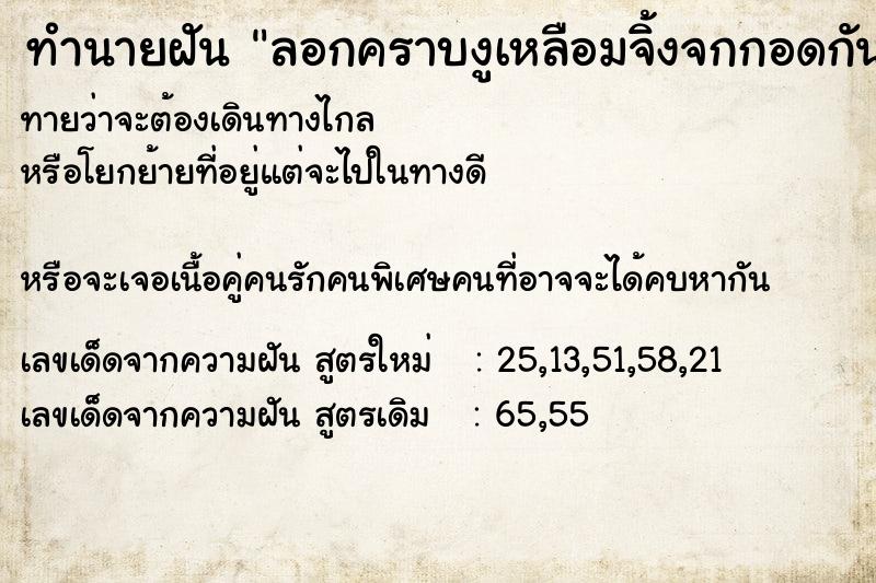 ทำนายฝันทำนายฝันลอกคราบงูเหลือมจิ้งจกกอดกัน