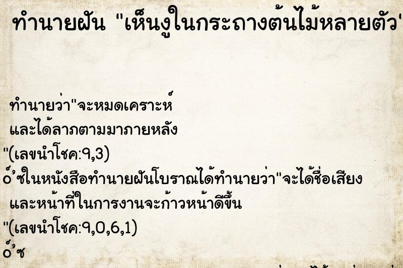 ทำนายฝันเห็นงูในกระถางต้นไม้หลายตัว ทำนายฝันทำนายฝันเห็นงูในกระถางต้นไม้หลายตัว