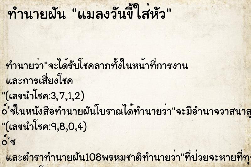 ทำนายฝัน แมลงวันขี้ใส่หัว ทำนายฝัน แมลงวันขี้ใส่หัว