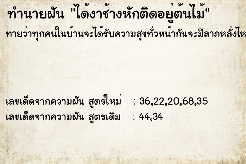 ทำนายฝันได้งาช้างหักติดอยู่ต้นไม้ ทำนายฝันทำนายฝันได้งาช้างหักติดอยู่ต้นไม้