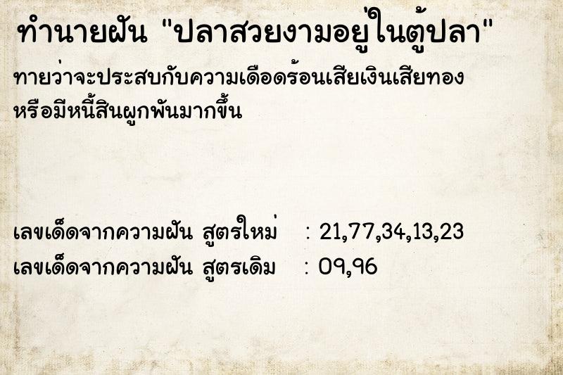 ทำนายฝัน ปลาสวยงามอยู่ในตู้ปลา ทำนายฝัน ปลาสวยงามอยู่ในตู้ปลา