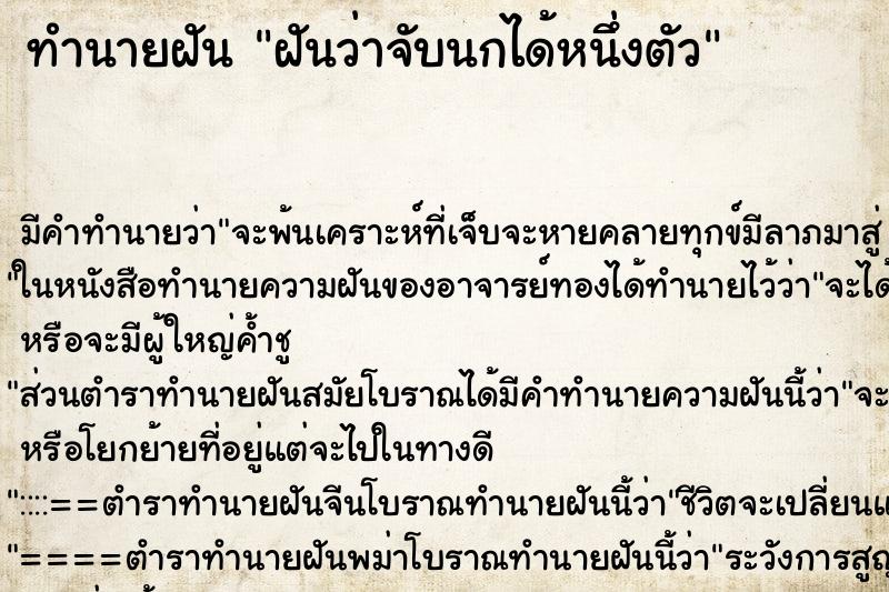 ทำนายฝันฝันว่าจับนกได้หนึ่งตัว ทำนายฝันทำนายฝันฝันว่าจับนกได้หนึ่งตัว