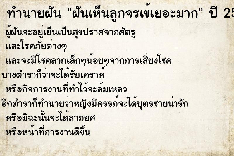 ทำนายฝันทำนายฝันฝันเห็นลูกจรเข้เยอะมาก